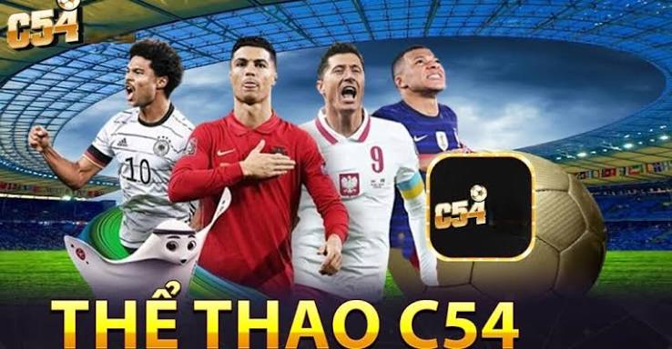 Thể Thao C54 Có Nhiều Bộ Môn Đáng Chú Ý